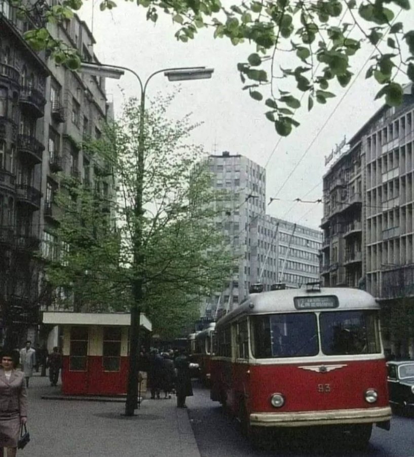 trola 12.jpg