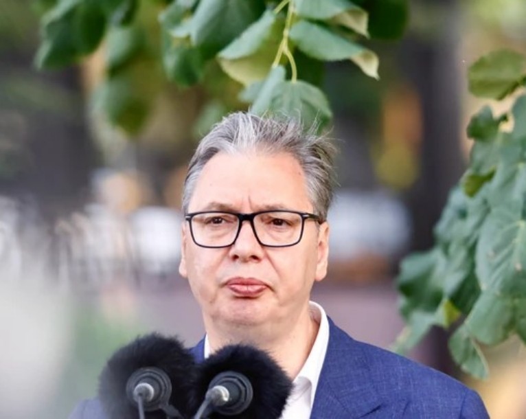 Vucic u Jagodini.jpg