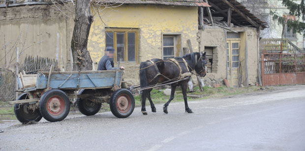 zaprega-macak.jpg