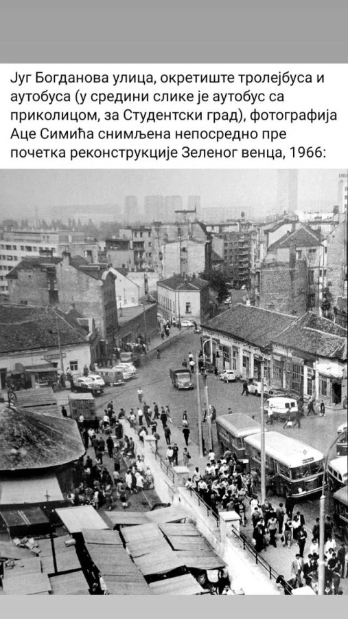 zelenjak 1966.jpg
