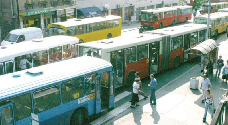 zelenjak.jpg