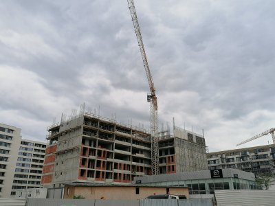 IMG_20250524_185235.jpg