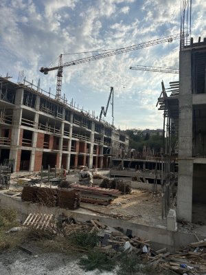 IMG_7109.jpeg