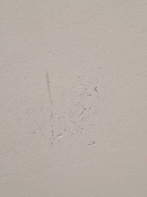 20250918_130255.jpg