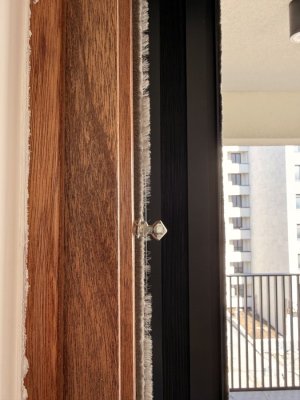 IMG_1531.jpeg
