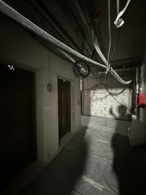 IMG_3944.jpeg