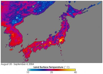 Heat wave Japan 2004.JPG